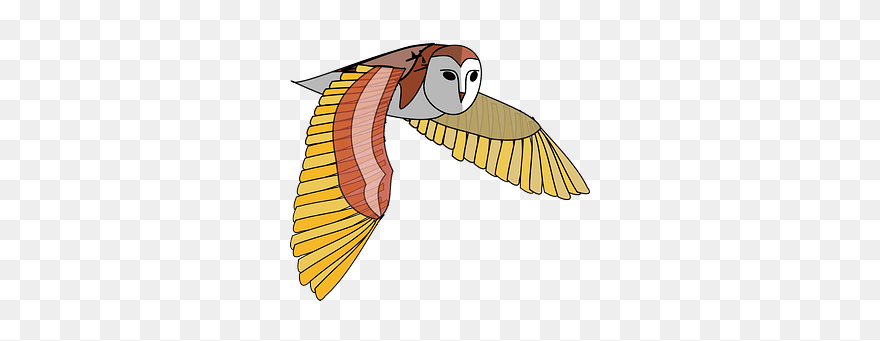 Owl In Flight Clipart - Png Download