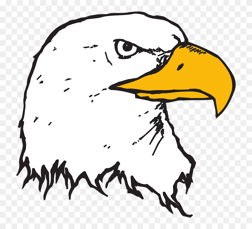 Eagle Beak Clipart - Png Download
