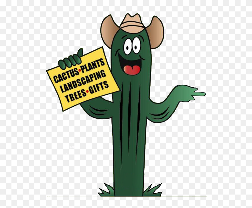 Transparent Potted Cactus Clipart - Cartoon - Png Download