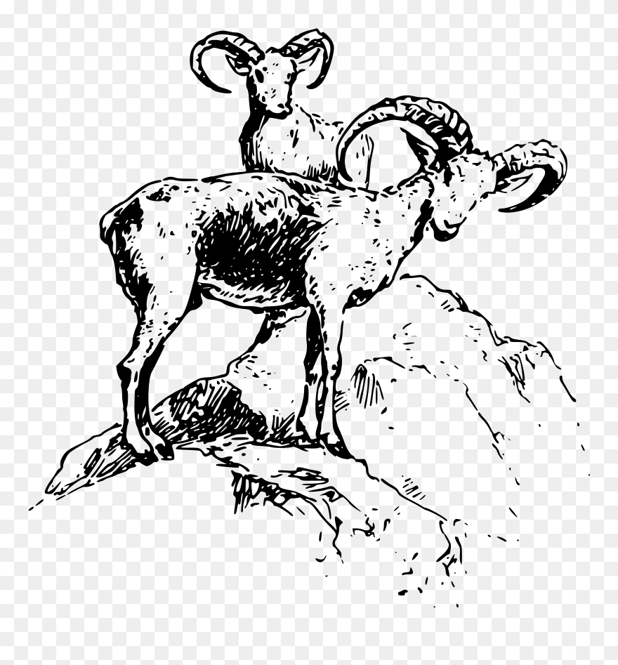 White On Brown No Eyeballs Svg Clip Arts - Sheep - Png Download