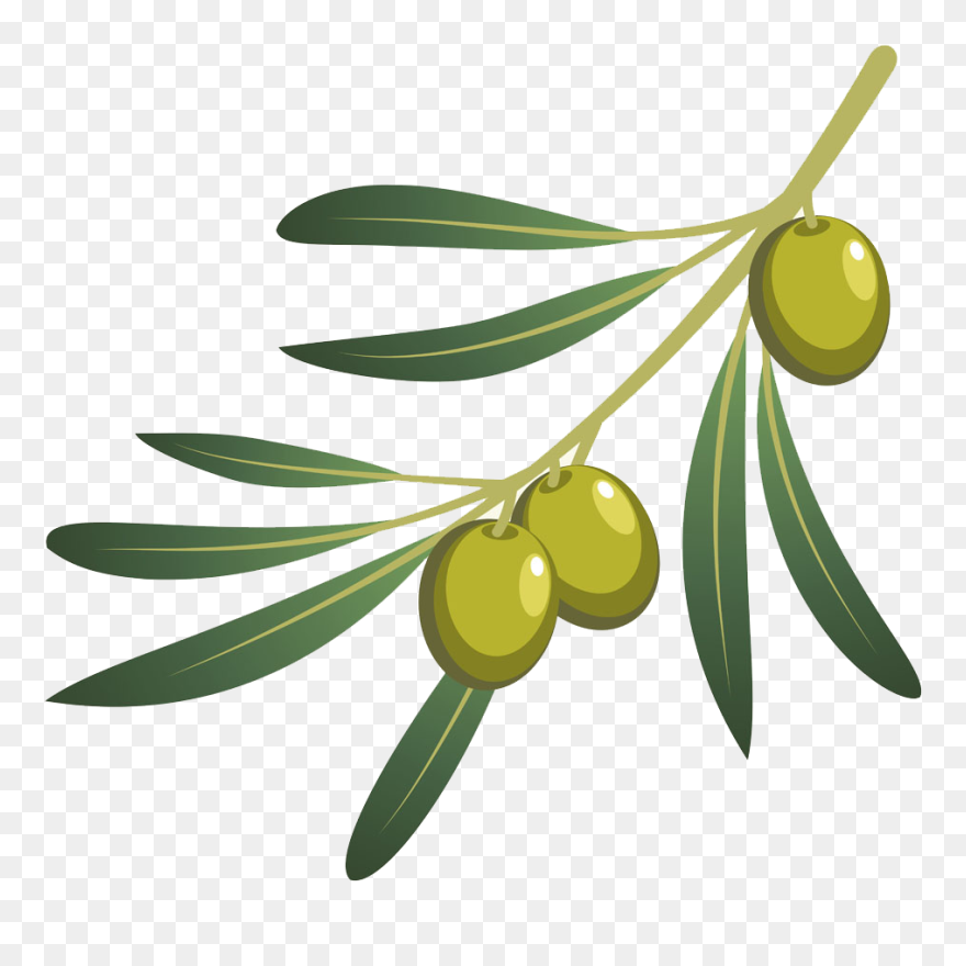 Olive Oil Olive Branch - Png Olives Clipart