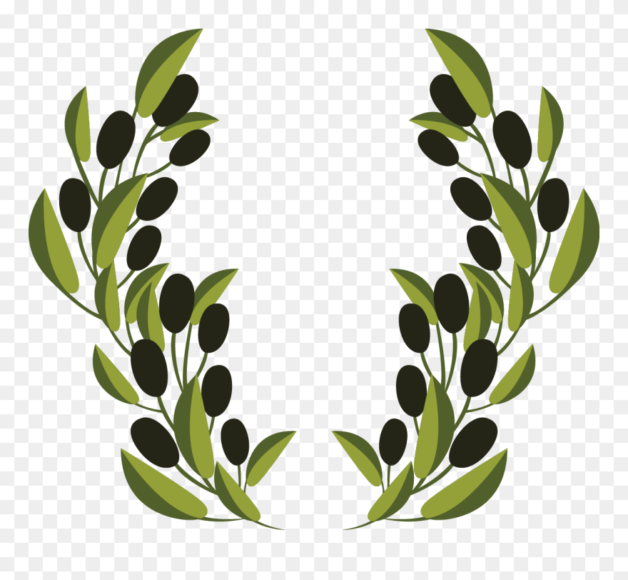 Olive Branch Clip Art - Clipart Olive Tree Branch - Png Download