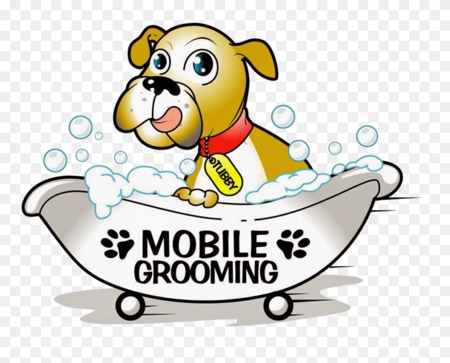 Clip Art - Png Download