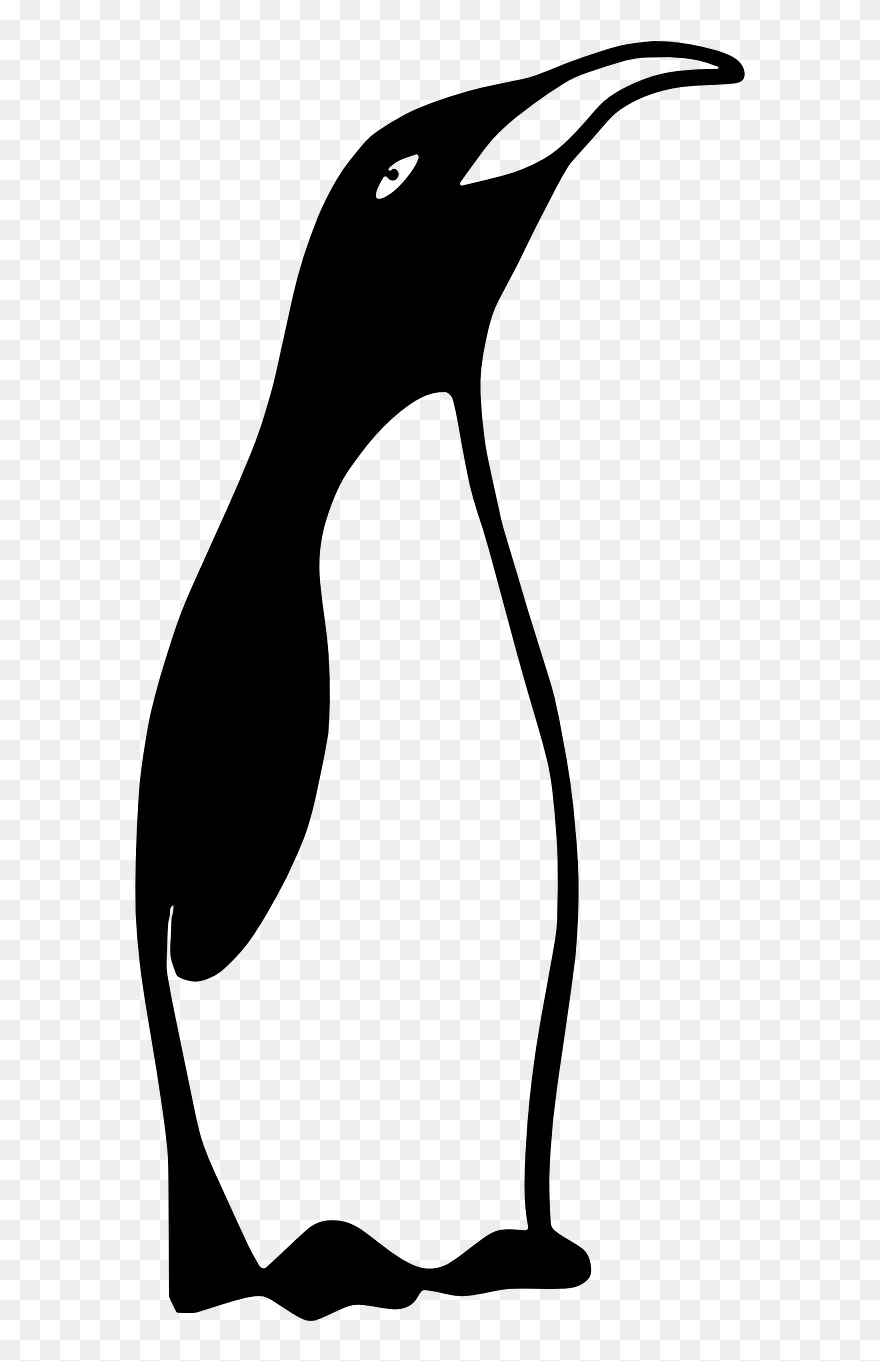 Desenho De Pinguim Em Preto E Branco Clipart