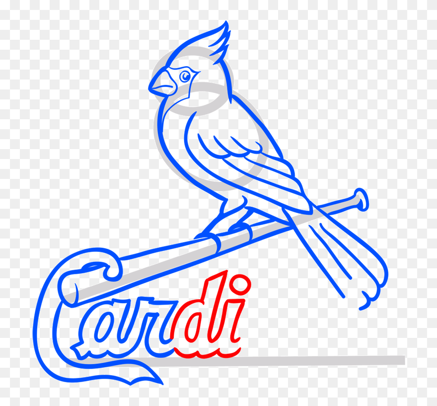 Learn Easy To Draw St - St Louis Cardinals Logo Drawing Clipart