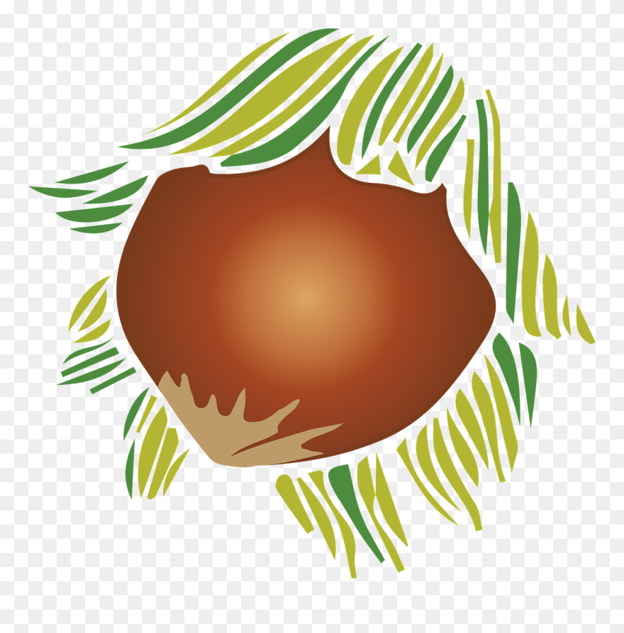 Almond Plant Fruit Free Photo - Illustration Clipart