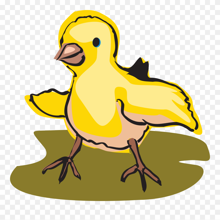 Transparent Baby Chicks Clipart - Clip Art - Png Download