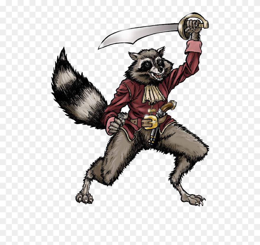 Pirate Racoon Png Clipart