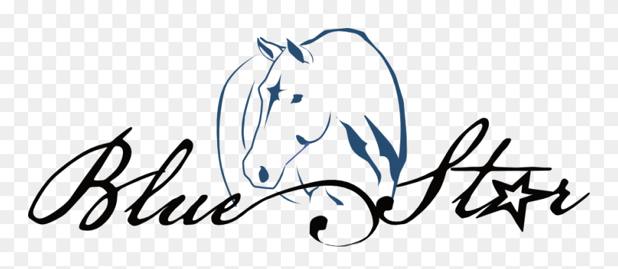 Blue Star Stable Clipart