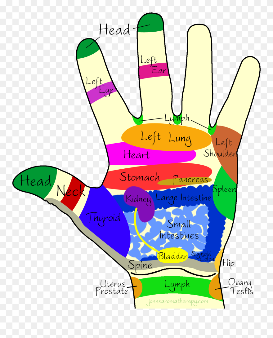 Transparent Massage Hands Clipart - Colour Therapy On Hands - Png Download