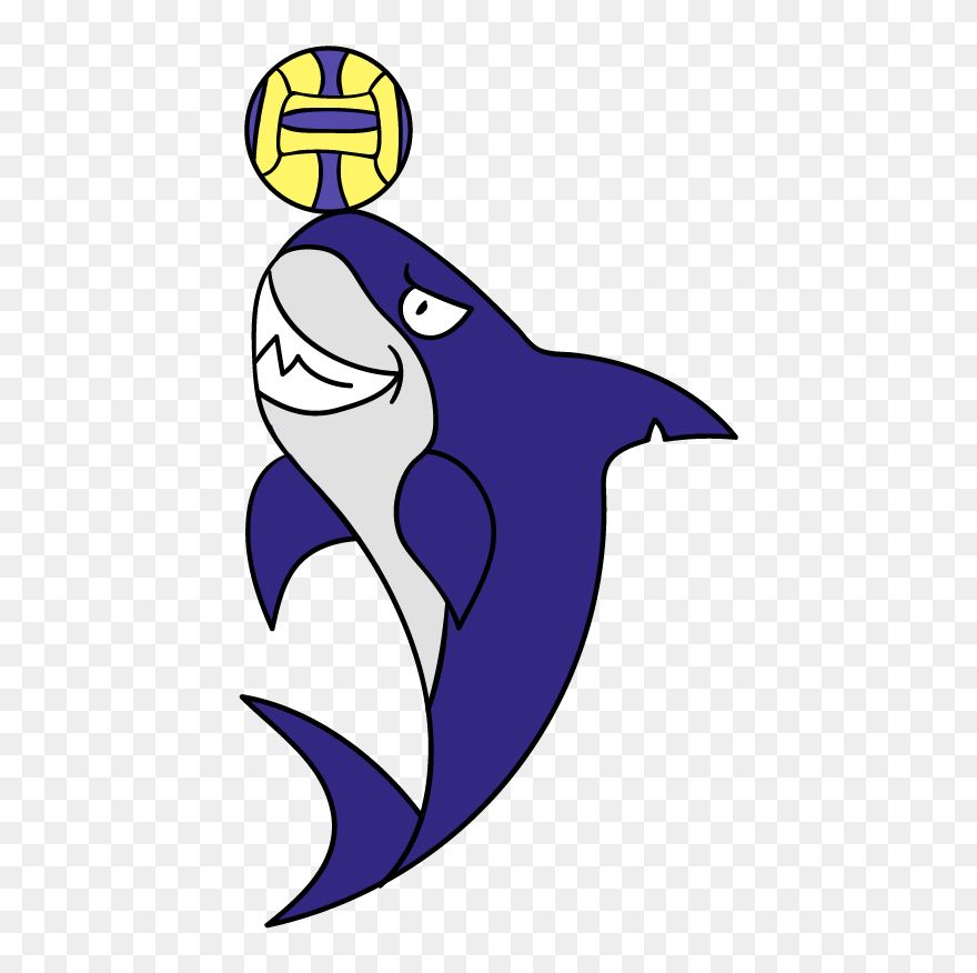 Cartoon Clipart