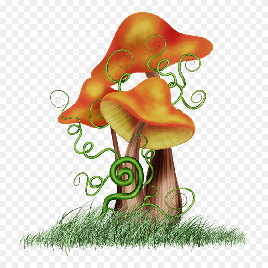 Portable Network Graphics Clipart