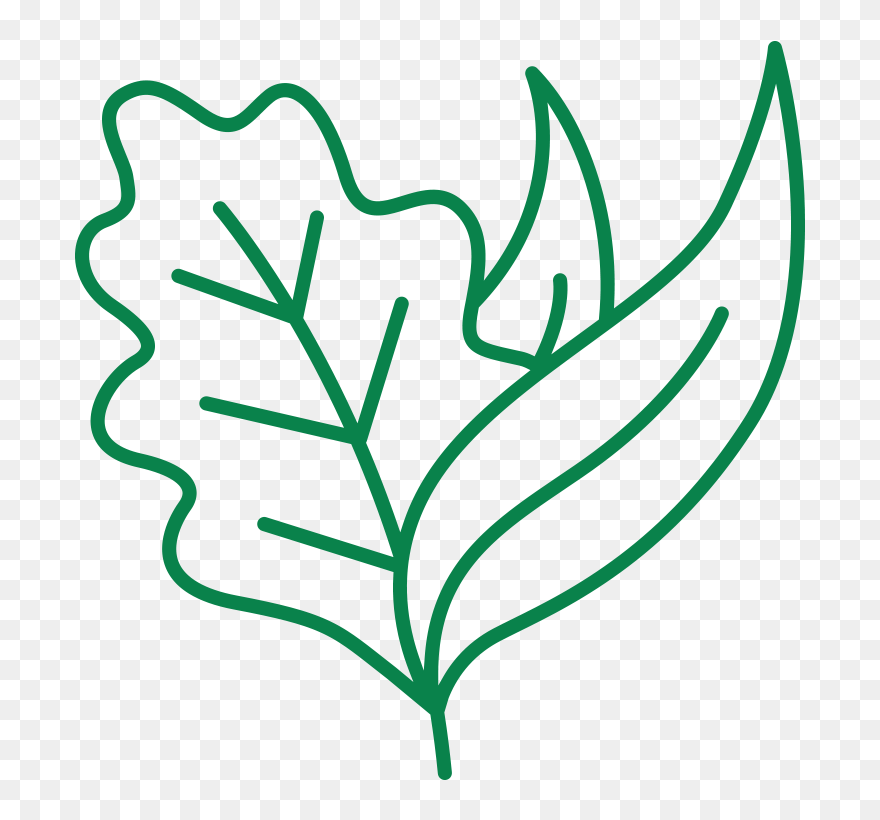 Canteen Clipart - Png Download