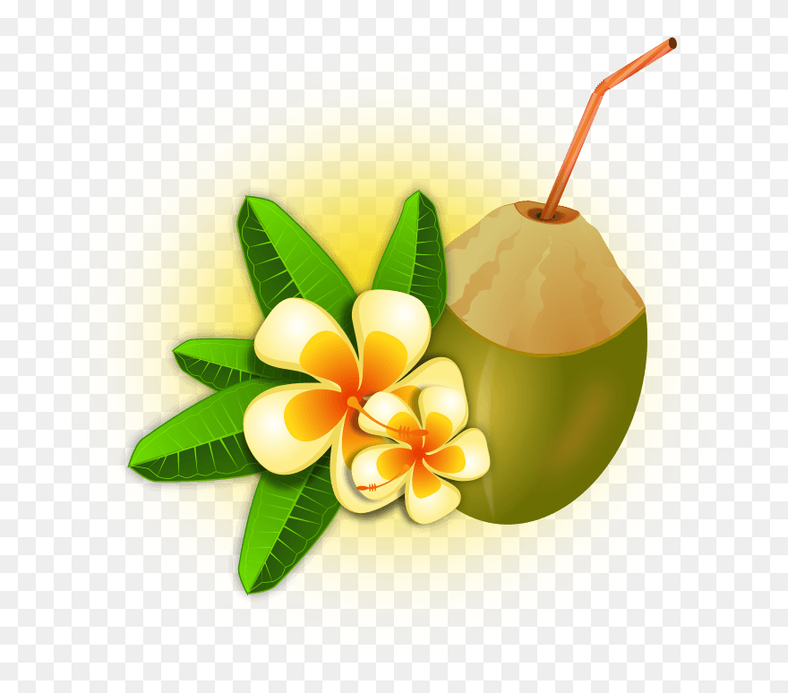 Pitcher Clipart Fruit Punch - Black Label Con Agua De Coco - Png Download