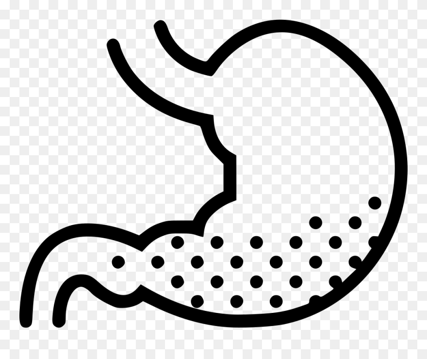 Stomach Clipart Stomach Acid - Stomach Clipart Black And White - Png Download
