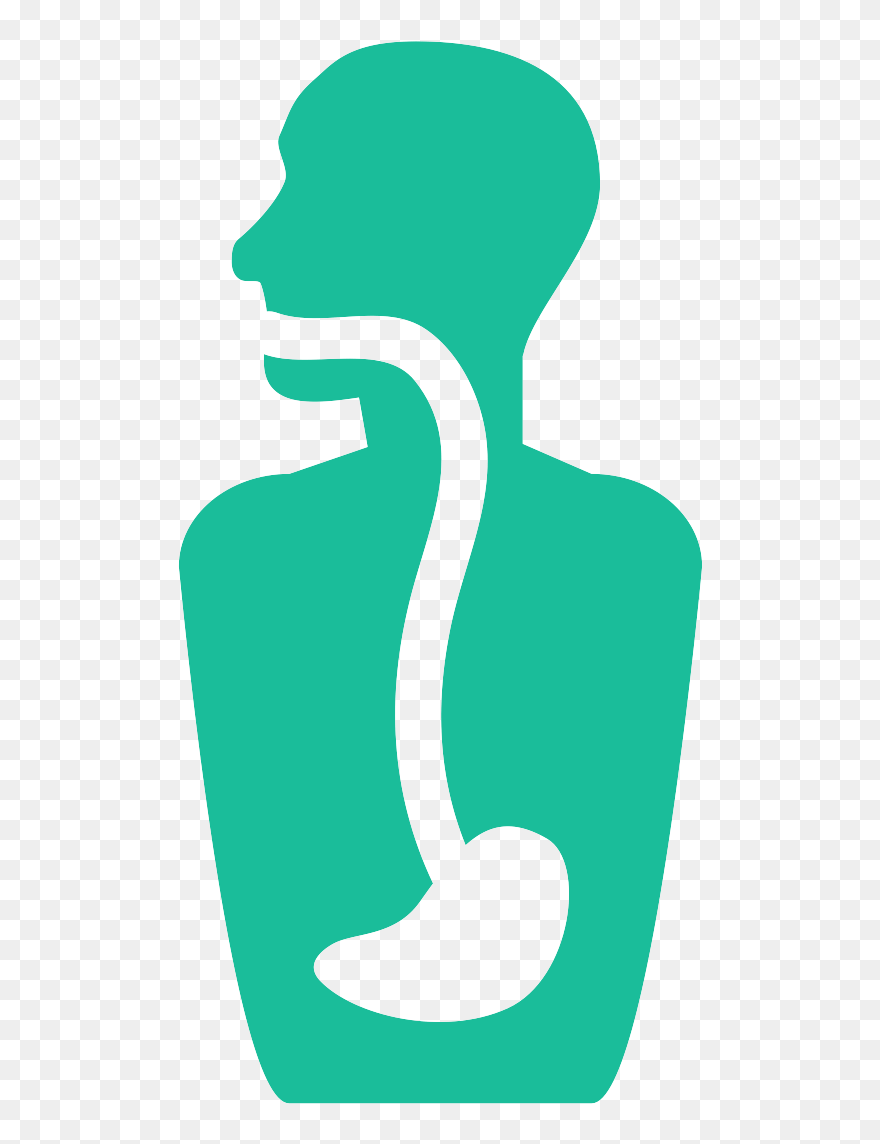 Esophageal Dilation In San Antonio - Digestive Icon Png Clipart