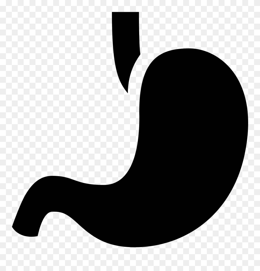 Transparent Stomach Clipart - Stomach Icon - Png Download