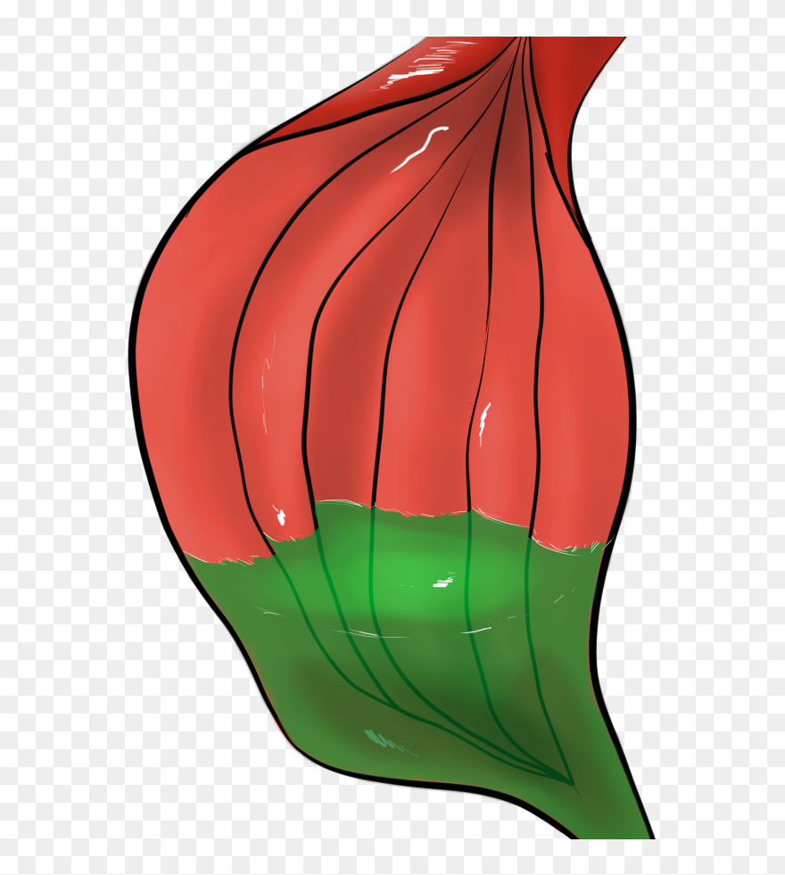 Free To Use Stomach With Acid - Mmd Stomach Acid Clipart