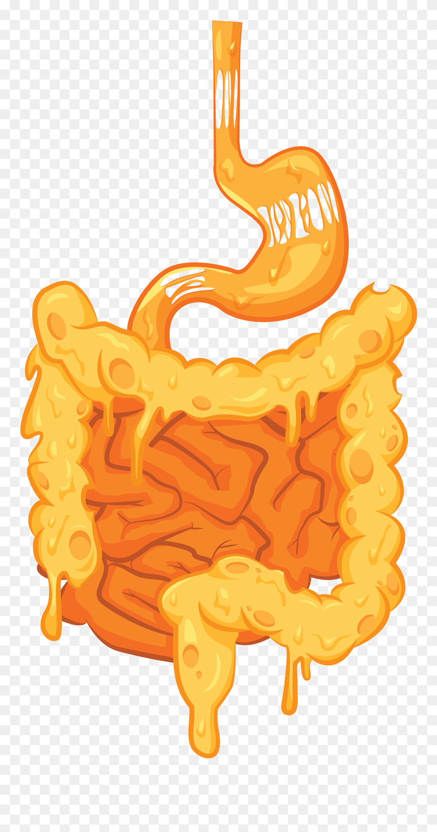 Illustration Clipart