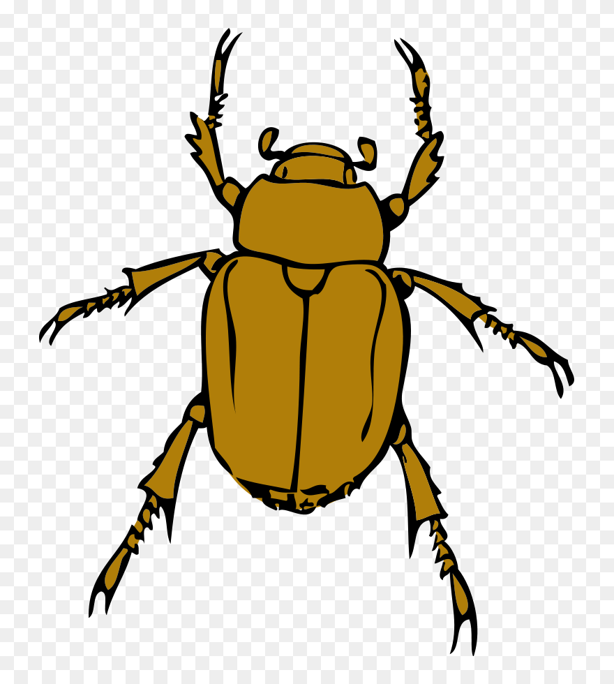 Bug Clipart Vector Clip Art Free Clipart Images - Beetle Clip Art - Png Download