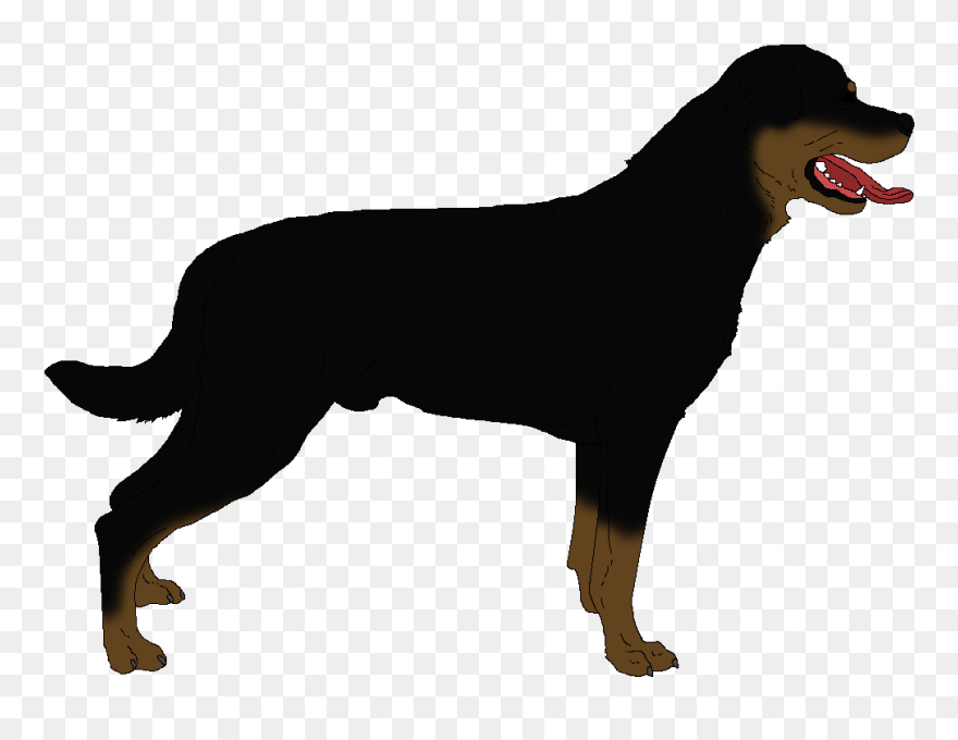 Rottweiler Clip Art - Free Clipart Rottweiler Png Transparent Png