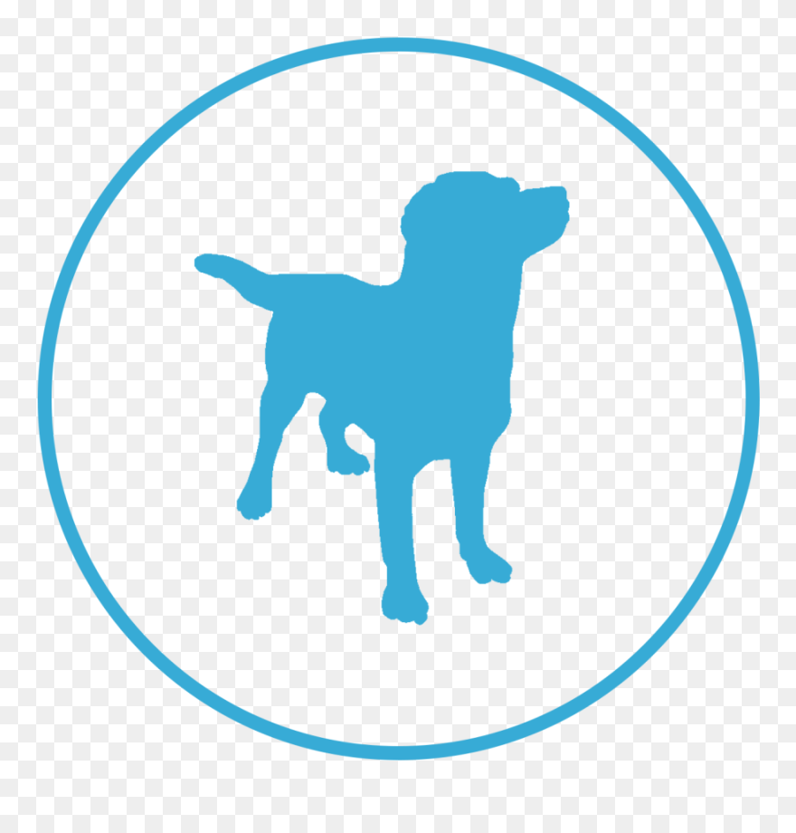 Dog Paws Shelter Of Central Texas Animal Shelter Pet - Dog Silhouette Clipart