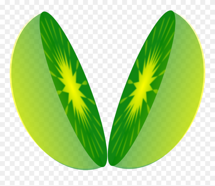 Plant,grass,leaf - Clipart Half - Png Download
