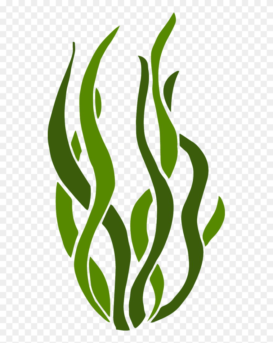 Transparent Photosynthesis Clip Art - Alge Png