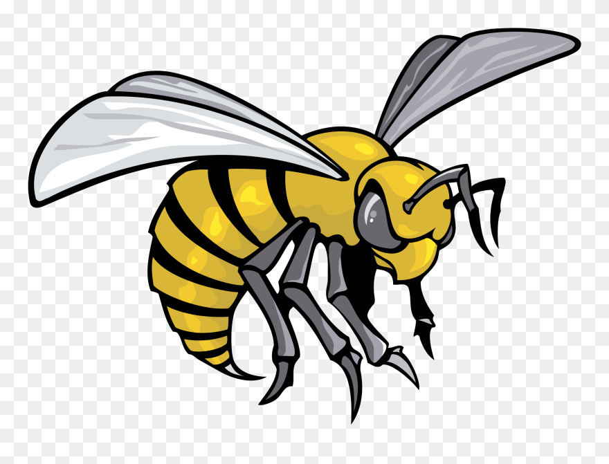 Hornet Clipart Vector, Hornet Vector Transparent Free - Alabama State University Bee - Png Download