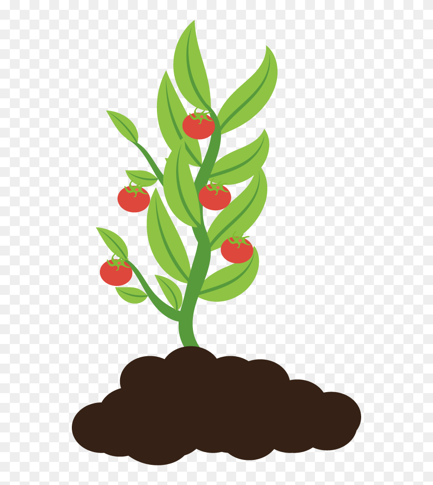 Clip Art - Png Download