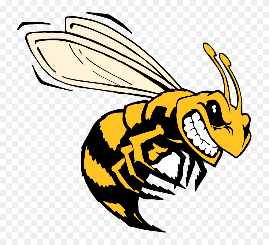 Killer Bee Clip Art - Png Download