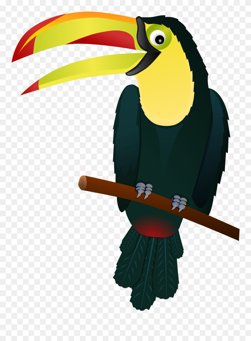 Toucan Clipart Beak - Tropical Bird Clipart - Png Download