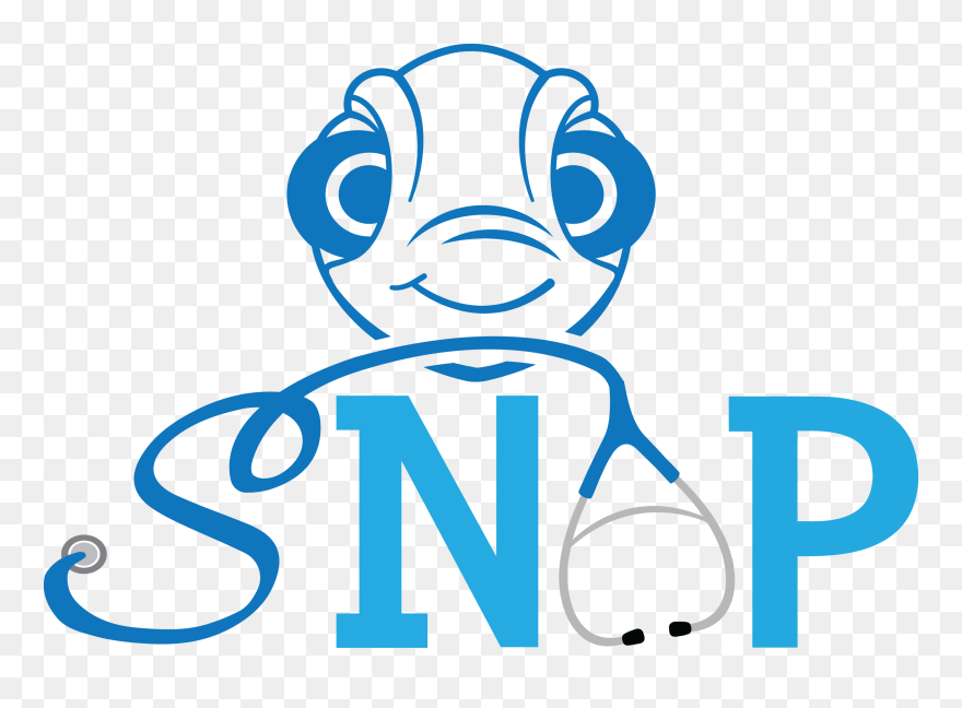 Nurse Practitioner Clipart - Png Download