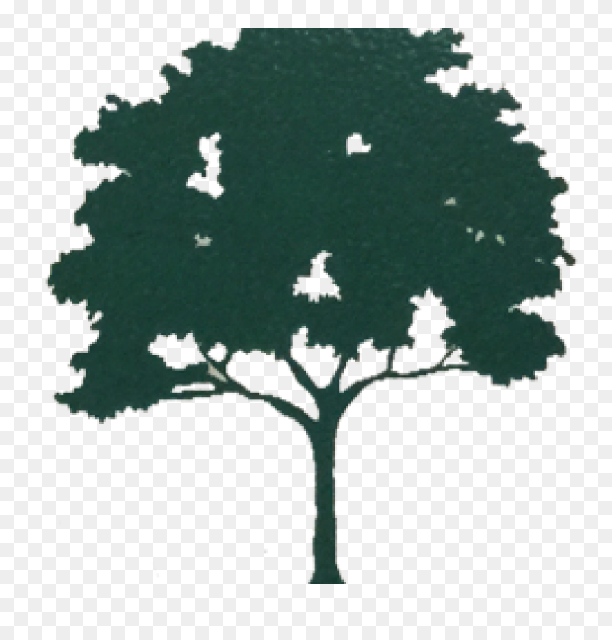 African Tree Clip Art , Png Download - Tree Logo For Funeral Homes Transparent Png