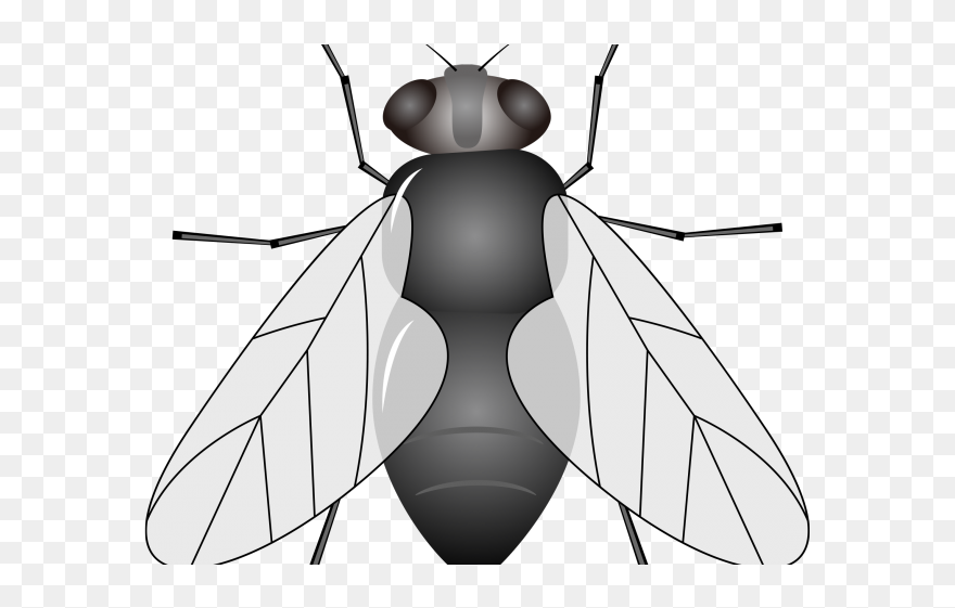 Cheerleading Clipart Black And White Poms - Png Download