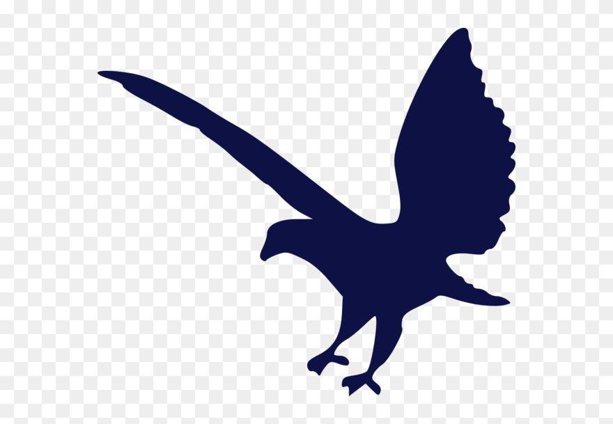 Wedge Tail Eagle Silhouette Clipart