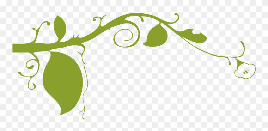 Plant Borders Clip Art - Png Download