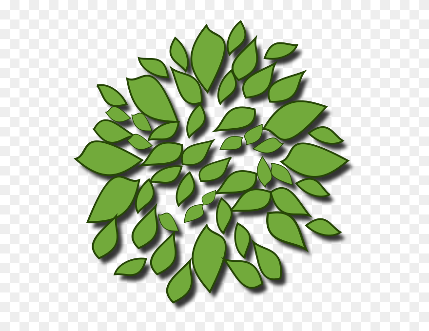 Green Leaves - Trees Top Icon Png Clipart