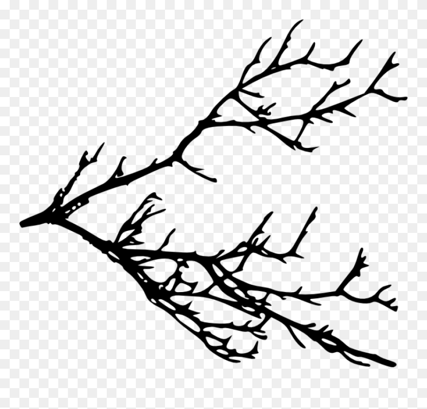 Clipart Tree Branch Silhouette Clip Download Tree Branches - Silhouette Tree Branches Transparent - Png Download