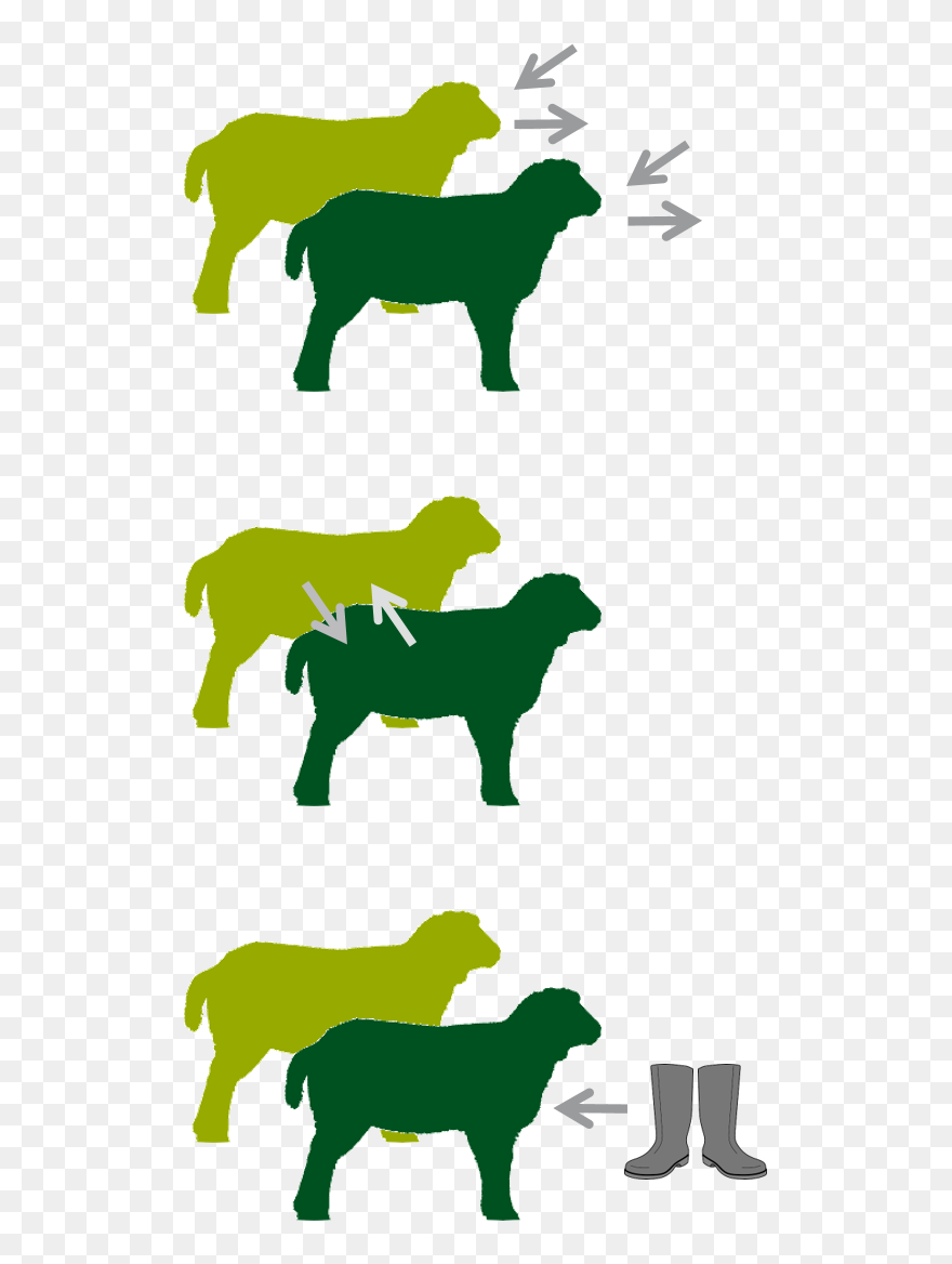 Tranmission Modes Clipart