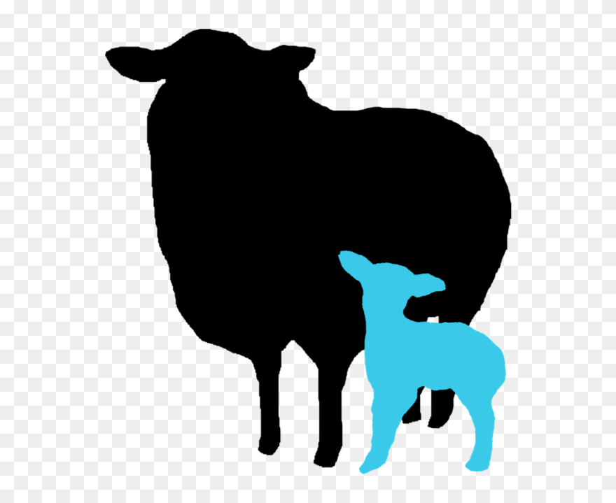 Lamb - Cattle Clipart