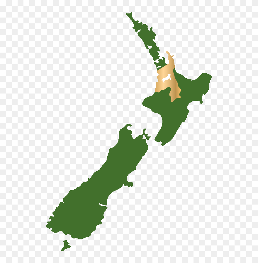 Location, Location, Location - New Zealand Map Artwork Clipart