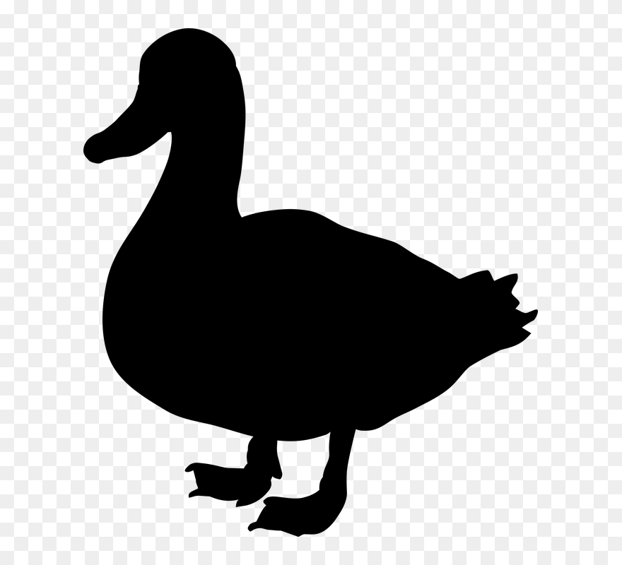 Duck Goose Clip Art Fauna Silhouette - Duck Silhouette Png Transparent Png