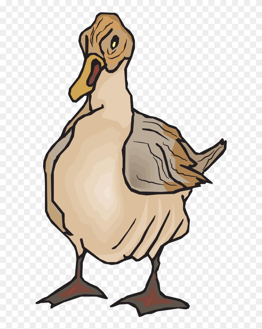 Clip Art - Png Download