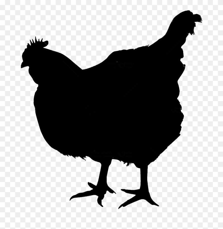 Clipart Chicken Silhouette - Chicken Silhouette Transparent Background - Png Download