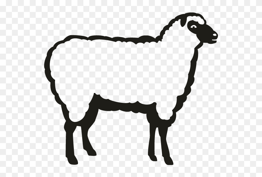 Does Meat Come From Worksheet Clipart