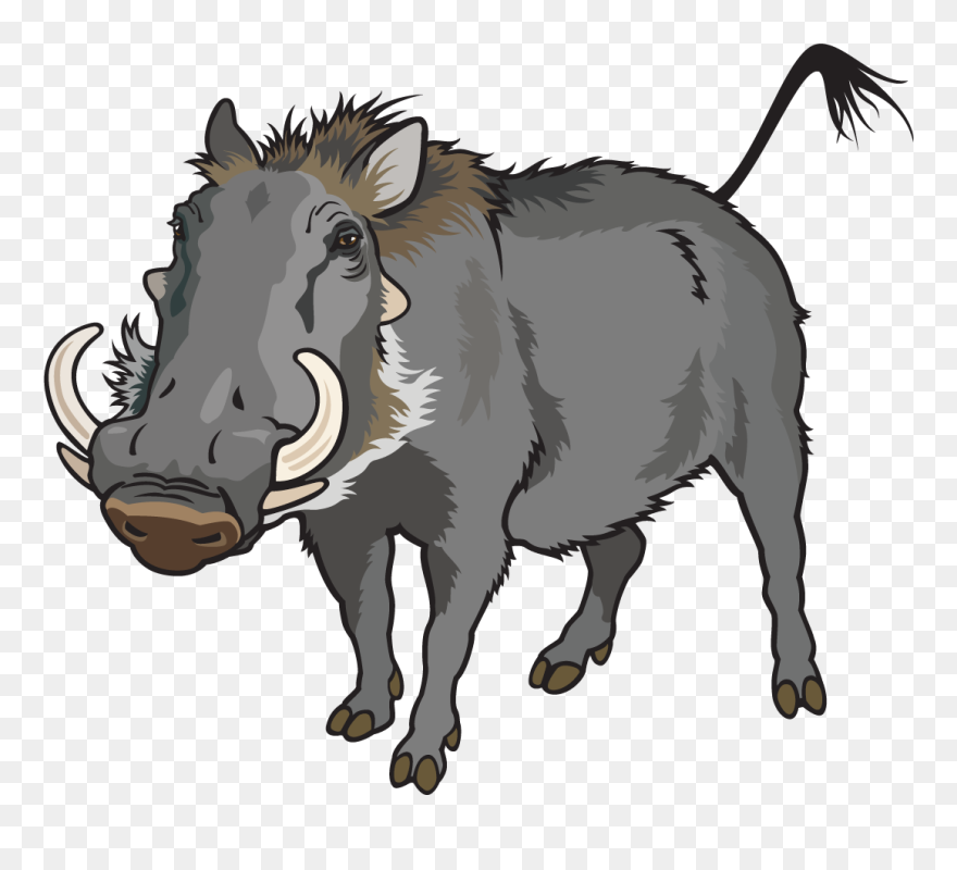 Warthog Clipart - Png Download