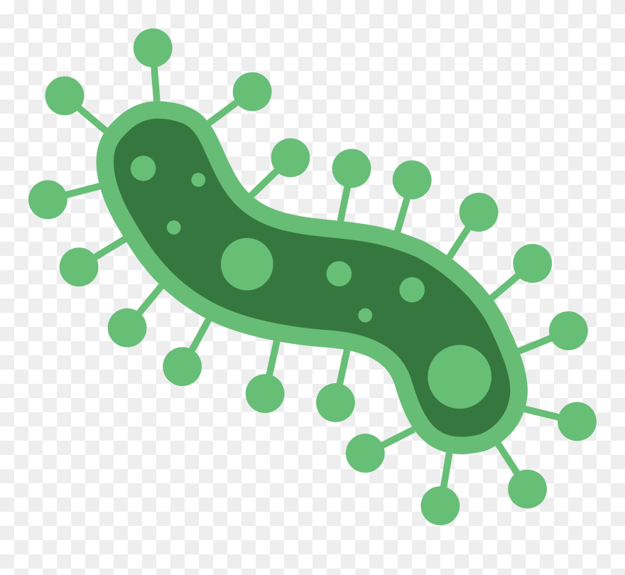 Keep Your Face Toward The Sunshine And Shadows Will Clipart