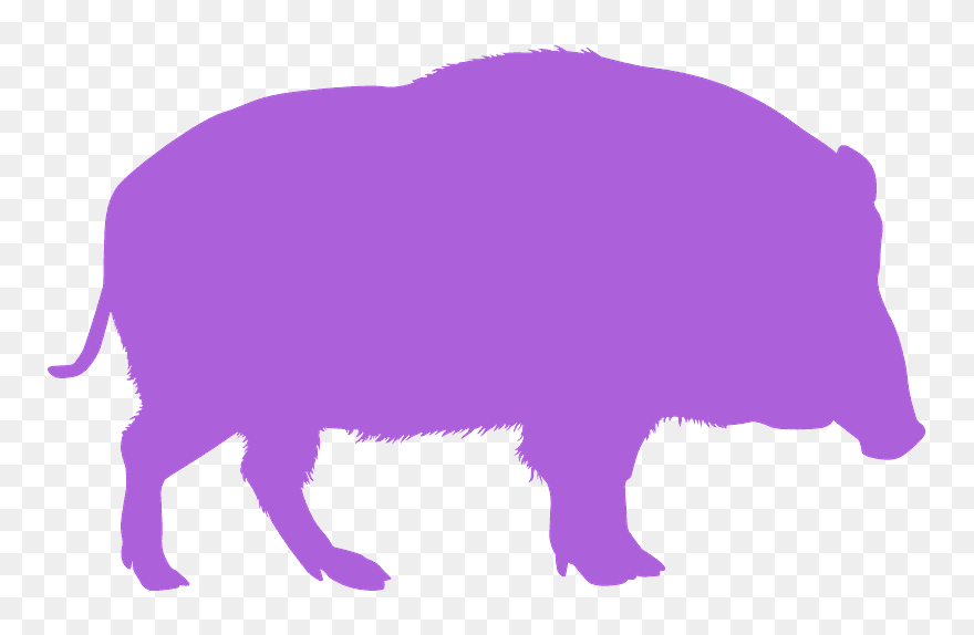 Muskox Clipart