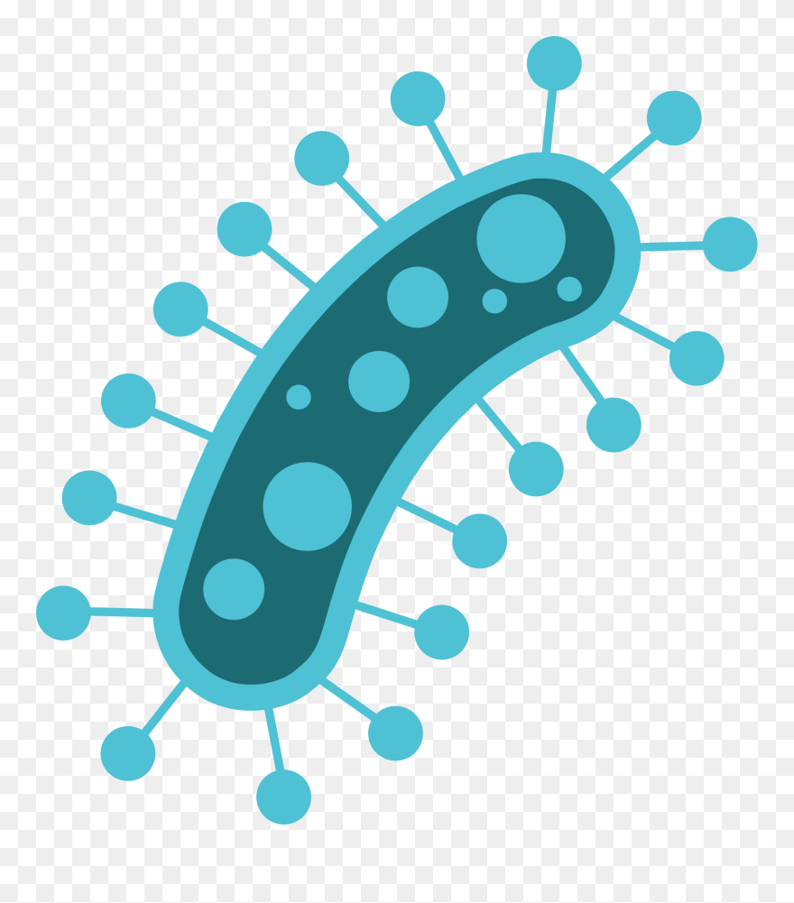 Vector Graphics Clipart